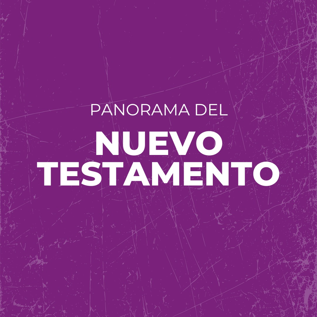 PANORAMA NT